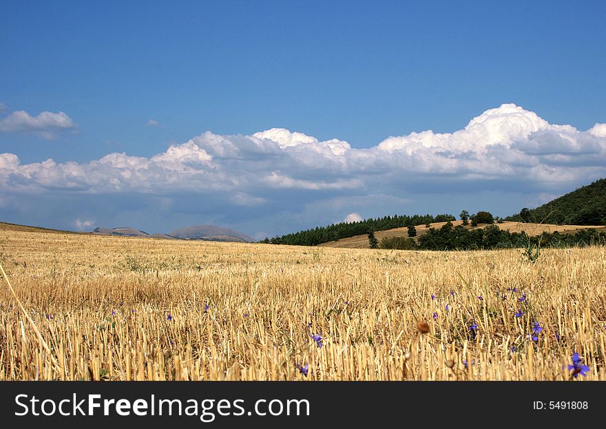 This is a field in umbria near Colfiorito