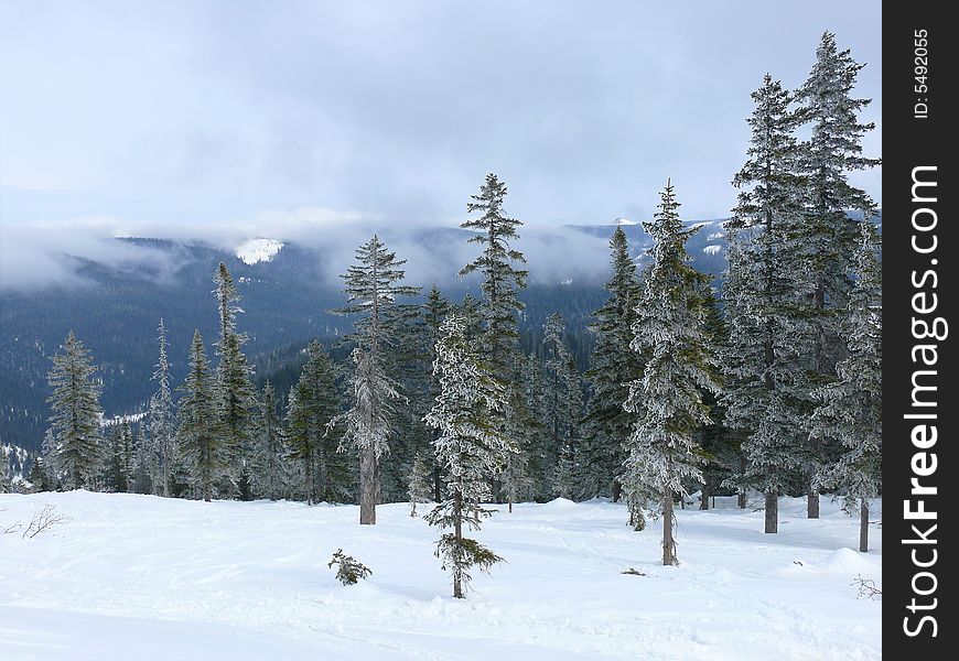 It is winter in the Far East in Russia. It is winter in the Far East in Russia