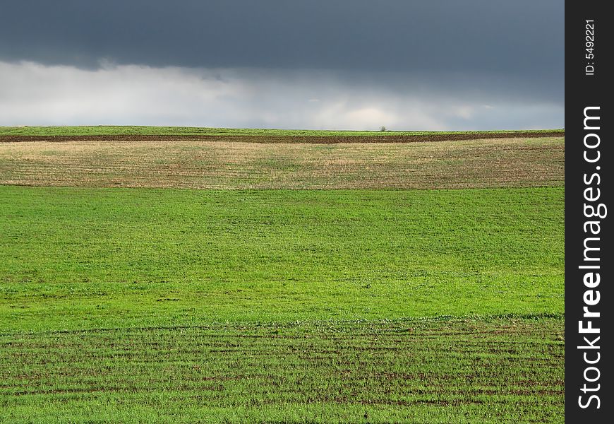 Green field after rain ,dark clouds