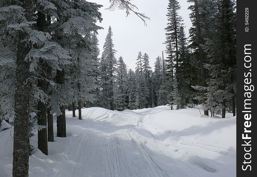 Photos of winter wood in mountains are made in Russia. Photos of winter wood in mountains are made in Russia