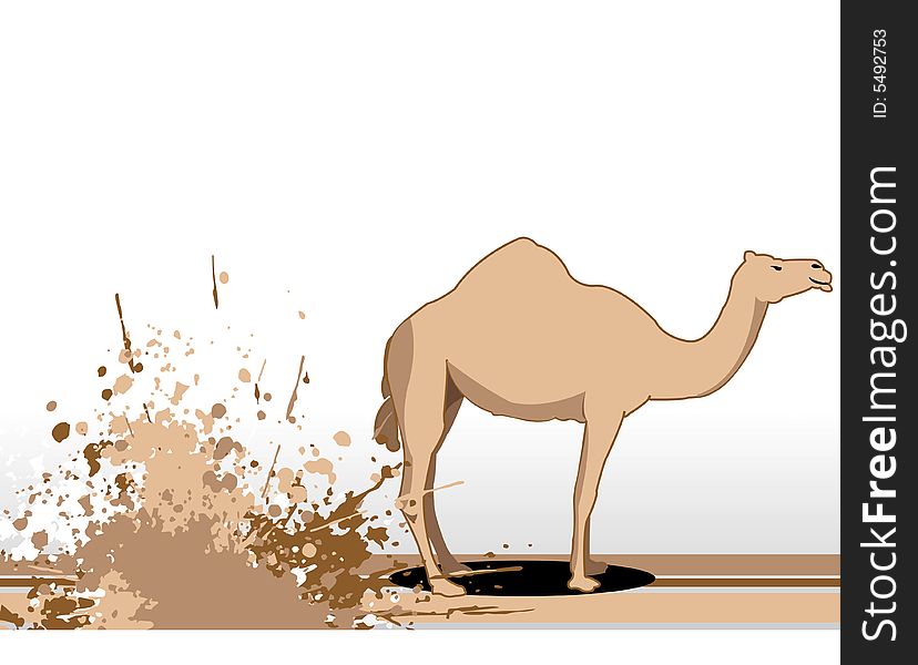 Camel near grunge on isolated background