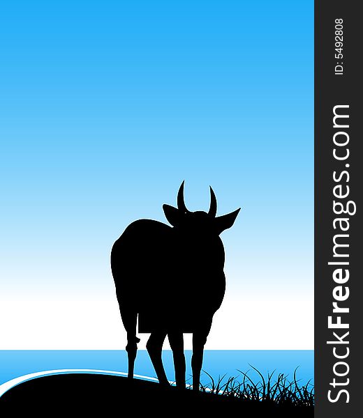 Cow  standing near water abstract backgroud