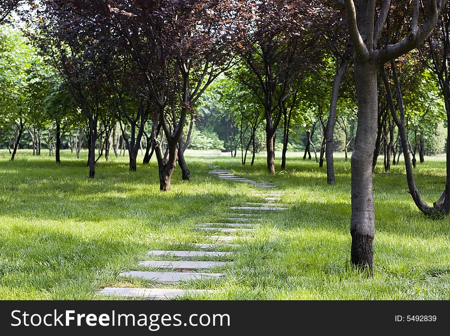 Alley in park. Very beautiful