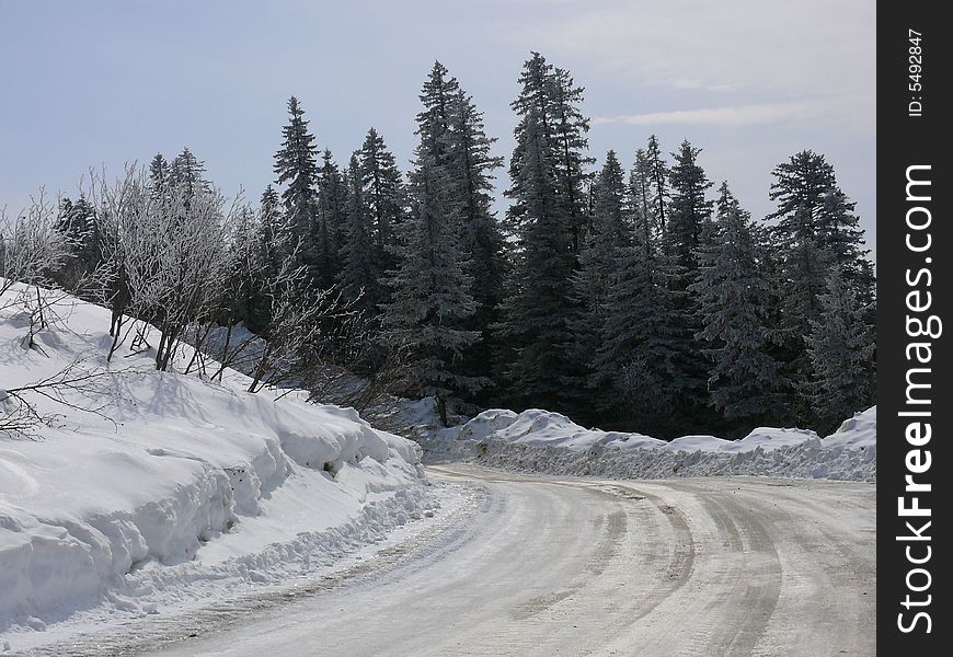 Photos of winter wood in mountains are made in Russia. Photos of winter wood in mountains are made in Russia