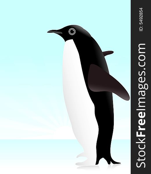 Penguin standing in Iceland abstract backgrod. Penguin standing in Iceland abstract backgrod