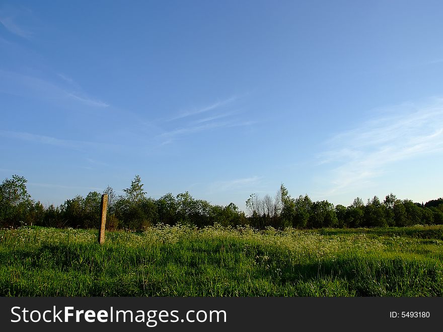 Meadow with green grass and blue sky with clouds