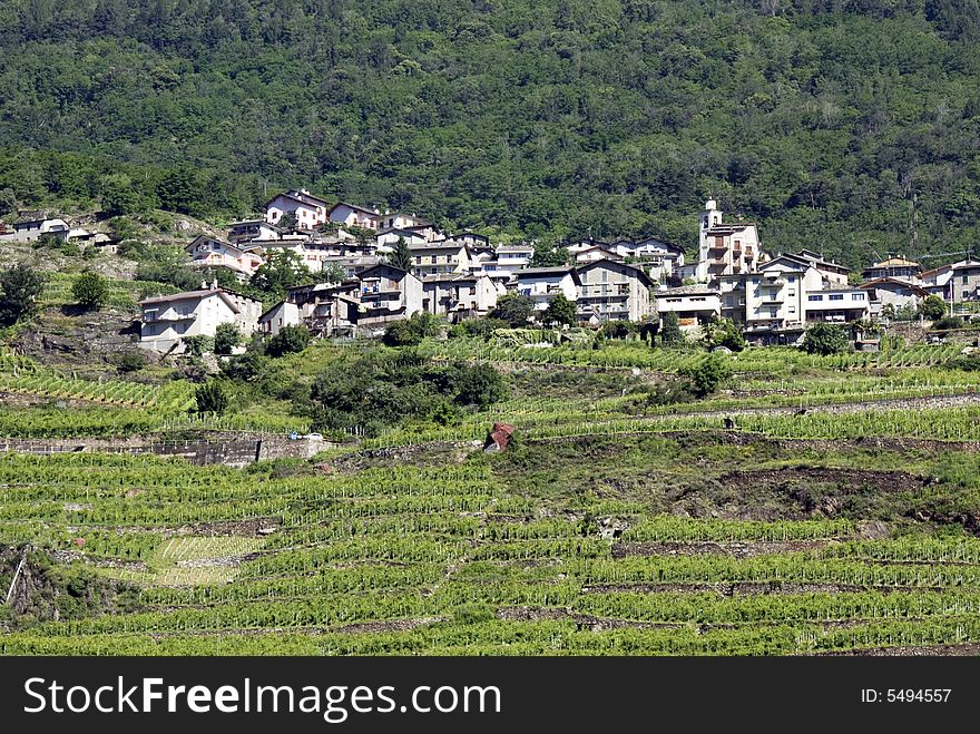 A beautiful vineyard angles with village in the northern Italy. A beautiful vineyard angles with village in the northern Italy