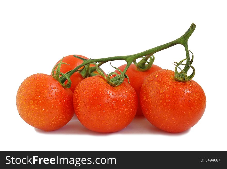 Drops on red tomatoes with branch. Drops on red tomatoes with branch