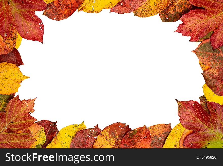 Autumn frame of colorful  leaves isolated on white