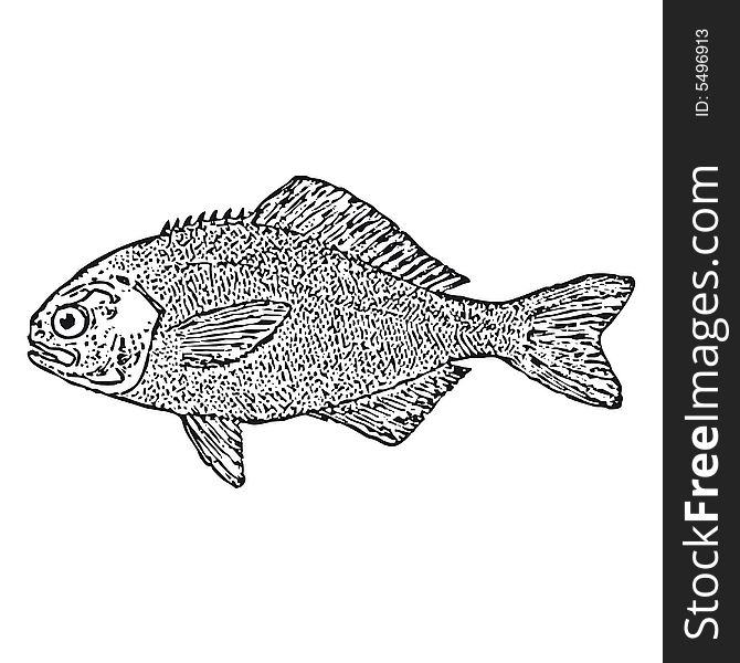 Drawing of a fish (cmyk to rgb). Drawing of a fish (cmyk to rgb)