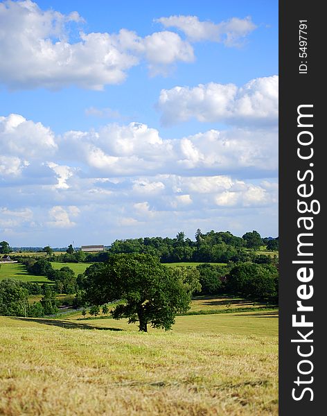 View of the countryside in summertime from a hill top