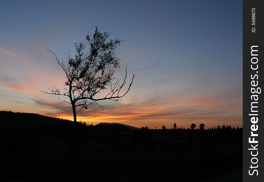 Sunset over Vlasic Mountain, Bosnia and Herzegovina. Lone tree caught my eye while I was on the mountain road from Banja Luka to Sarajevo.