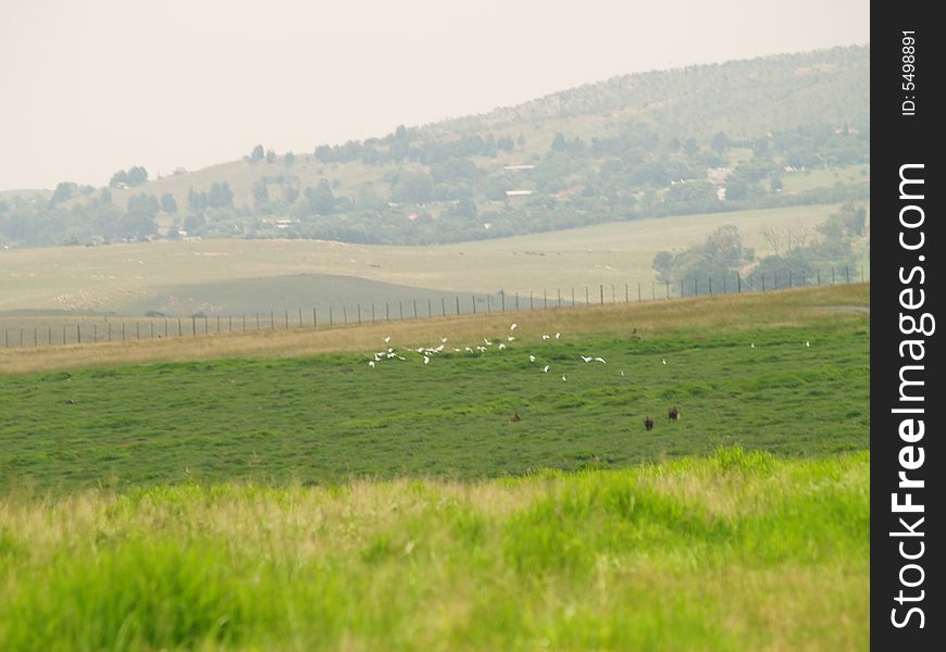 Landscape Of Krugersdorp Nature Reserve