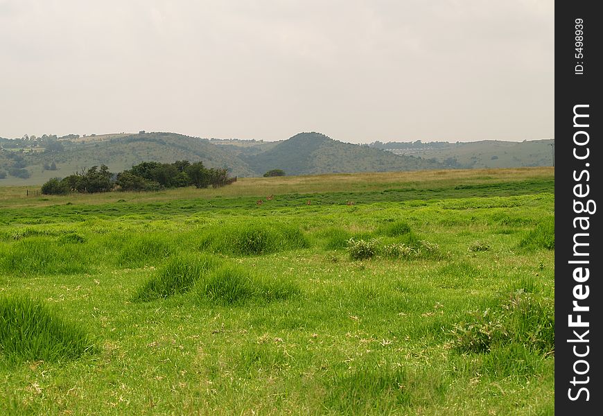 Landscape Of Krugersdorp Nature Reserve