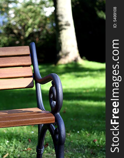 Bench And Grass