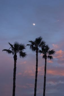 Dusk In The Tropics Stock Photo Dusk In The Tropics Stock Photo