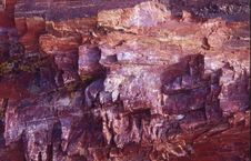 Petrified Macro Stock Images Petrified Macro Stock Images