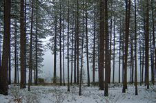 Winter Afternoon Royalty Free Stock Photography Winter Afternoon Royalty Free Stock Photography