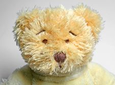 Teddy Bear Stock Image Teddy Bear Stock Image