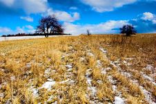 Winter - Spring Meadow Stock Photos Winter - Spring Meadow Stock Photos