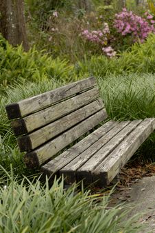 Park Bench In Tall Grass Royalty Free Stock Images