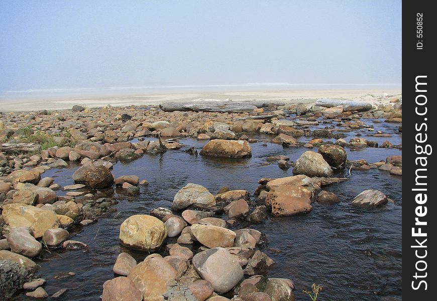 Creek And Ocean