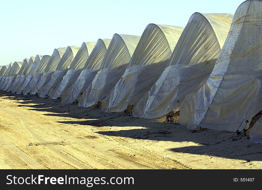 Strawberry greenhouse