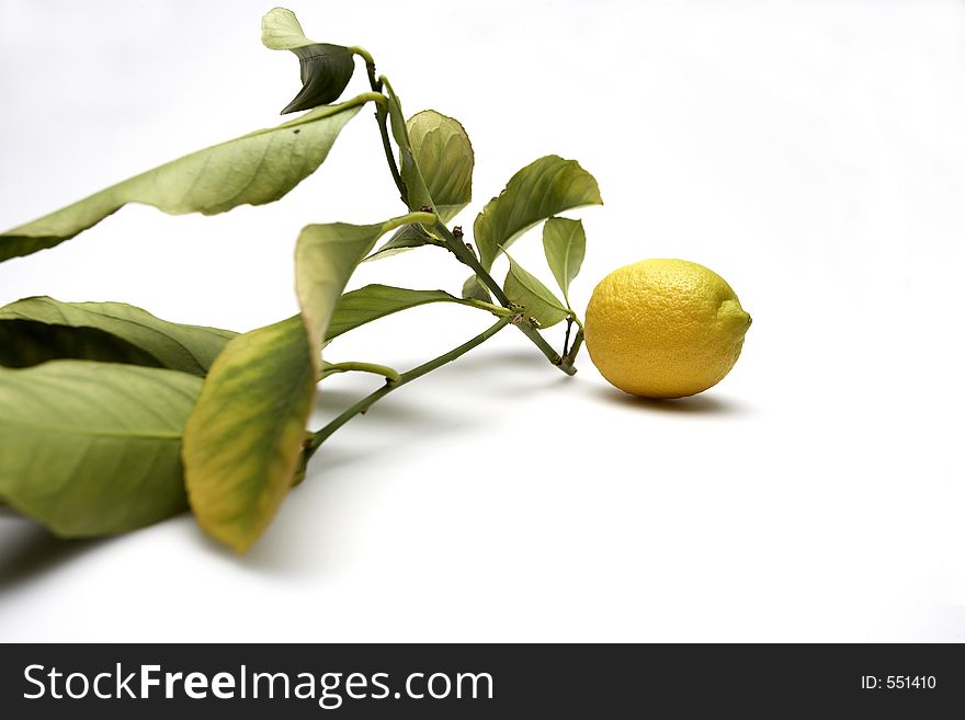 Lemon with leaves. Lemon with leaves