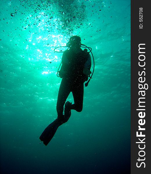 Diver with bubbles hanging in mid-water. Diver with bubbles hanging in mid-water
