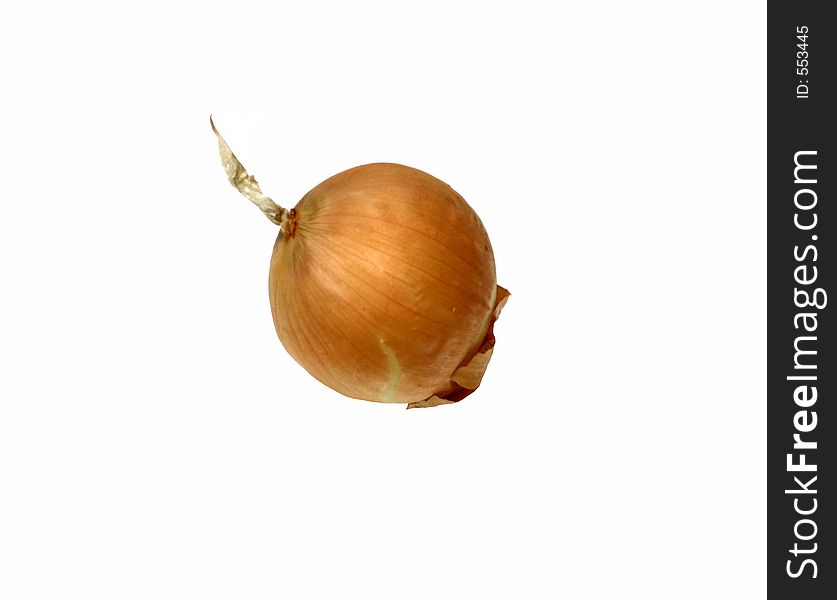 Isolated onion