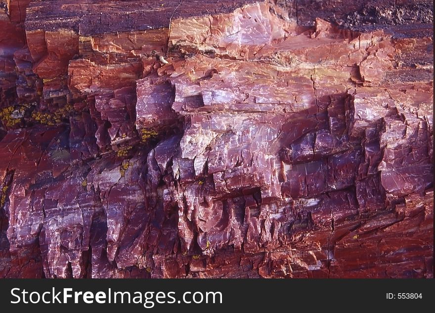 Macro shot of petrified wood grain. Macro shot of petrified wood grain.