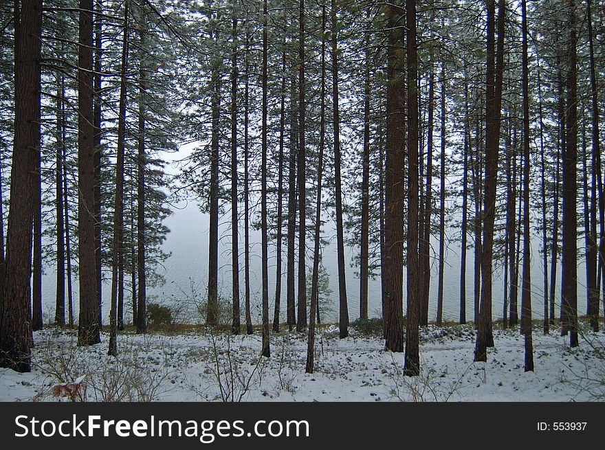 Winter afternoon