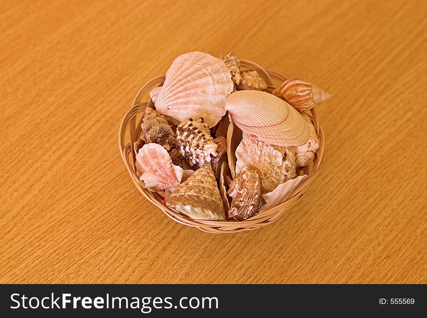 Shell basket on a wood background top view. Shell basket on a wood background top view