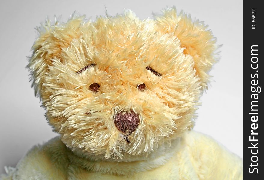 Close-up of teddy bear