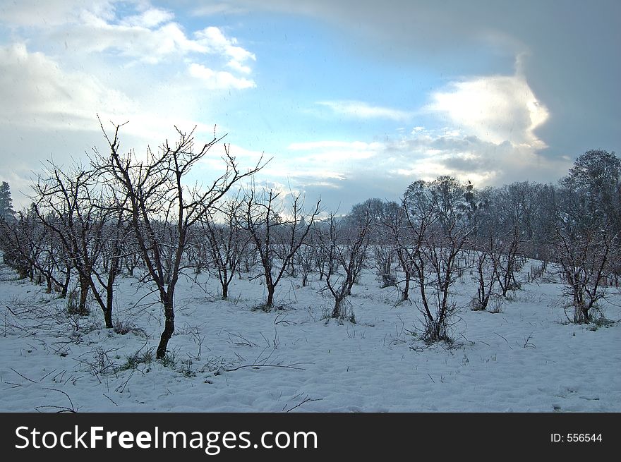 Wintry afternoon in the country. Wintry afternoon in the country