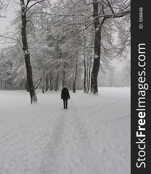 Winter in English Garden