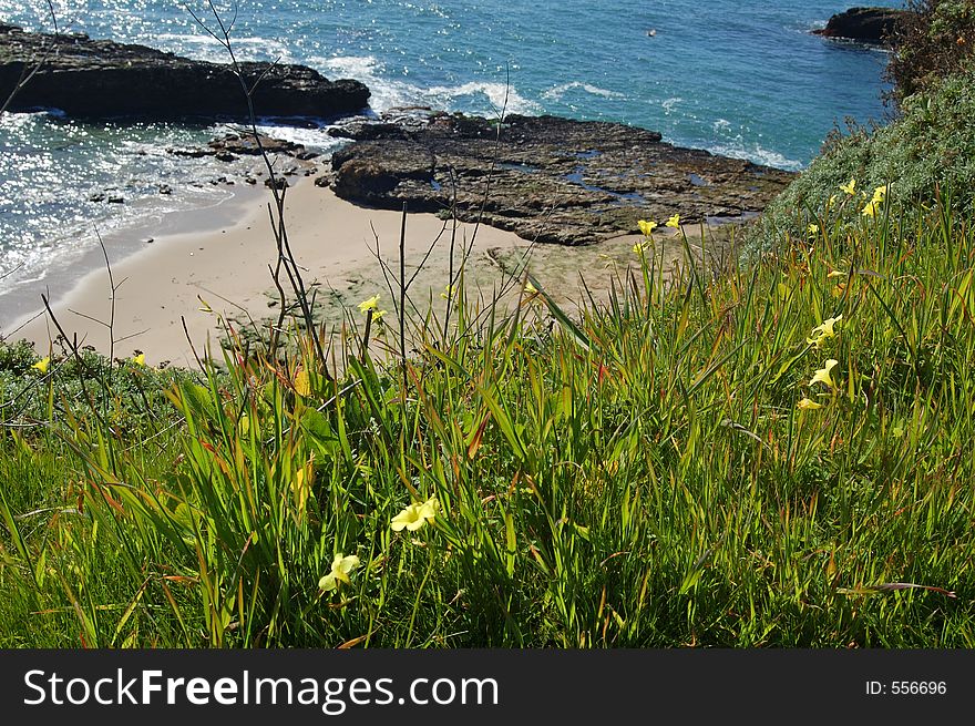 California coast in springtime. California coast in springtime