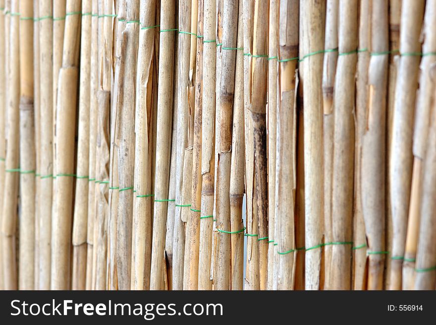 Bamboo background