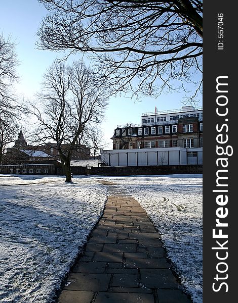 Snow at the park