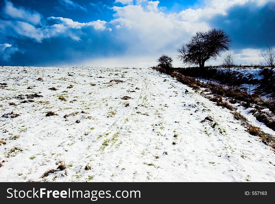 Winter landcape with trees, blue sky with clouds