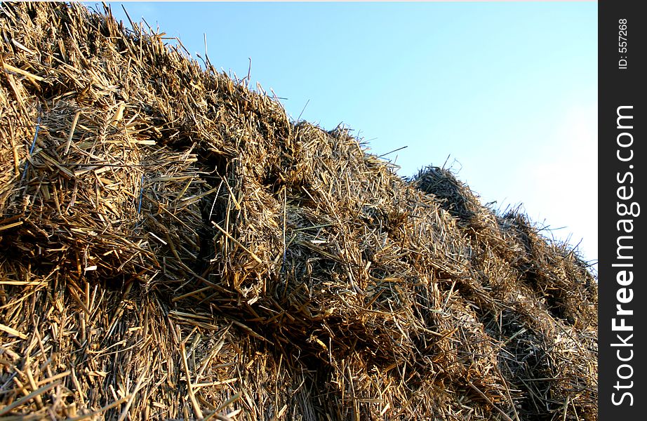 Hay bales on a wagon. Hay bales on a wagon