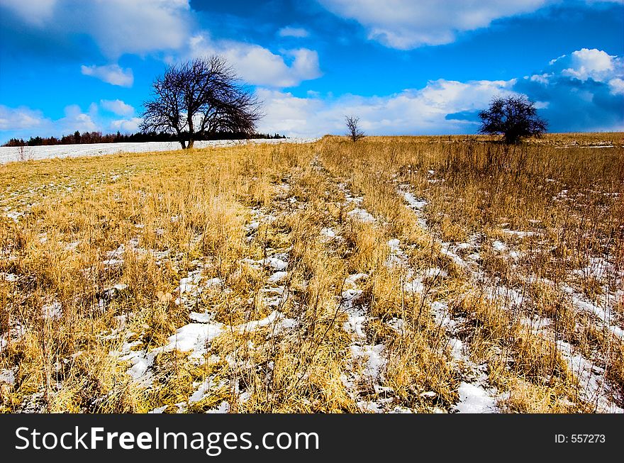 Winter - spring sunny meadow with blue sky and clouds. Winter - spring sunny meadow with blue sky and clouds