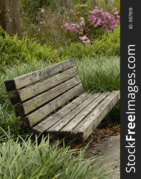 Park bench in a city park in Orlando, Florida, with tall grass and azaleas in the background. Park bench in a city park in Orlando, Florida, with tall grass and azaleas in the background.