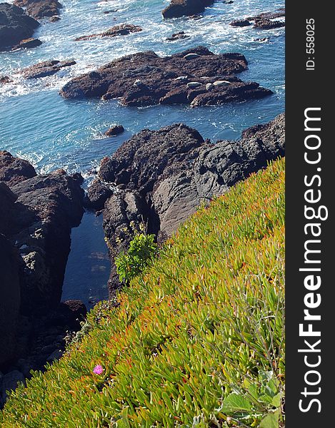 California coast in springtime. California coast in springtime