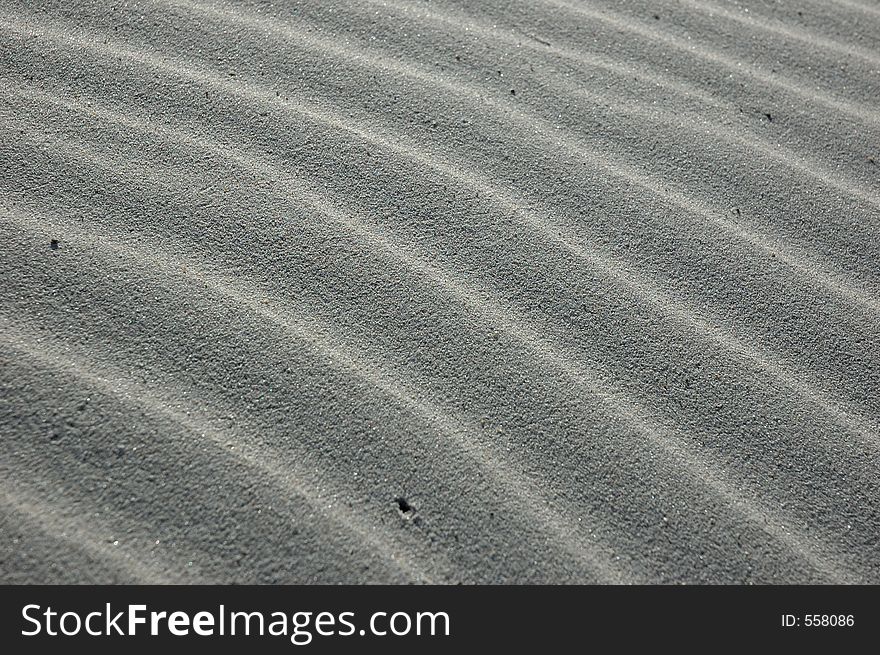 Sand ripples in the dunes