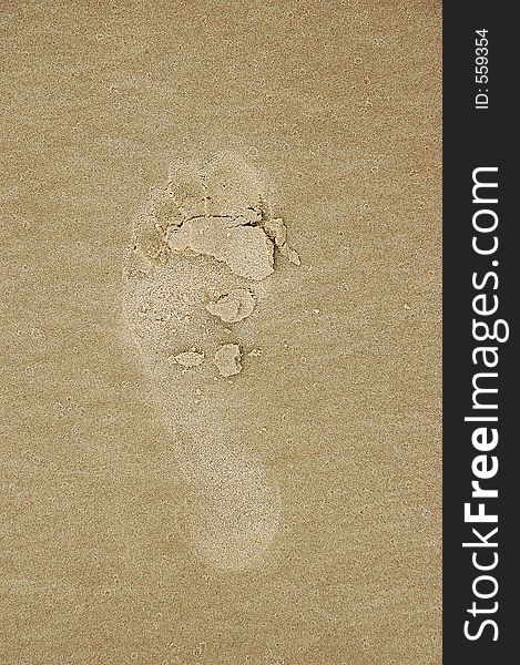 Barefoot print on wet sand