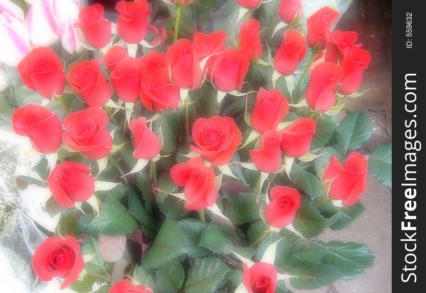 A  Bunch Of Red Roses