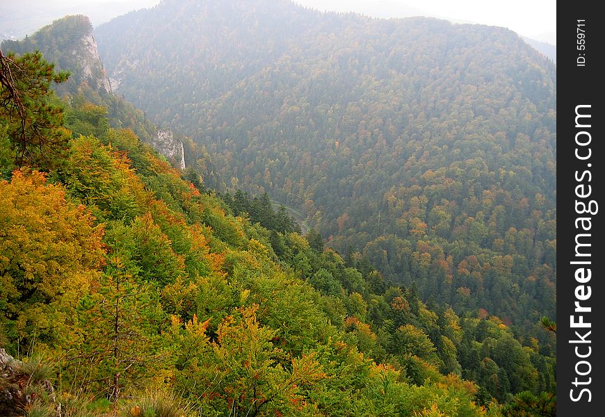 Forest in autumn, Pieniny Mts., Poland. Forest in autumn, Pieniny Mts., Poland