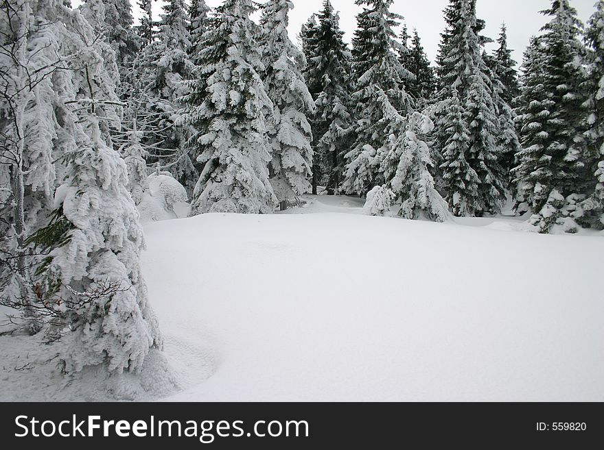 Winter in mountains, Gorce, Poland