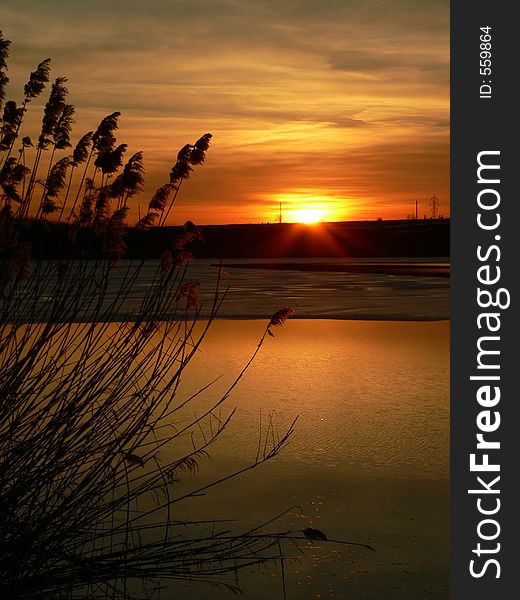 Sunset behind the reed on a lake near Bucharest